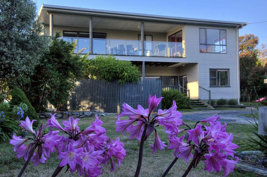 Cove Beach Apartment 1 Coles Bay Exterior foto